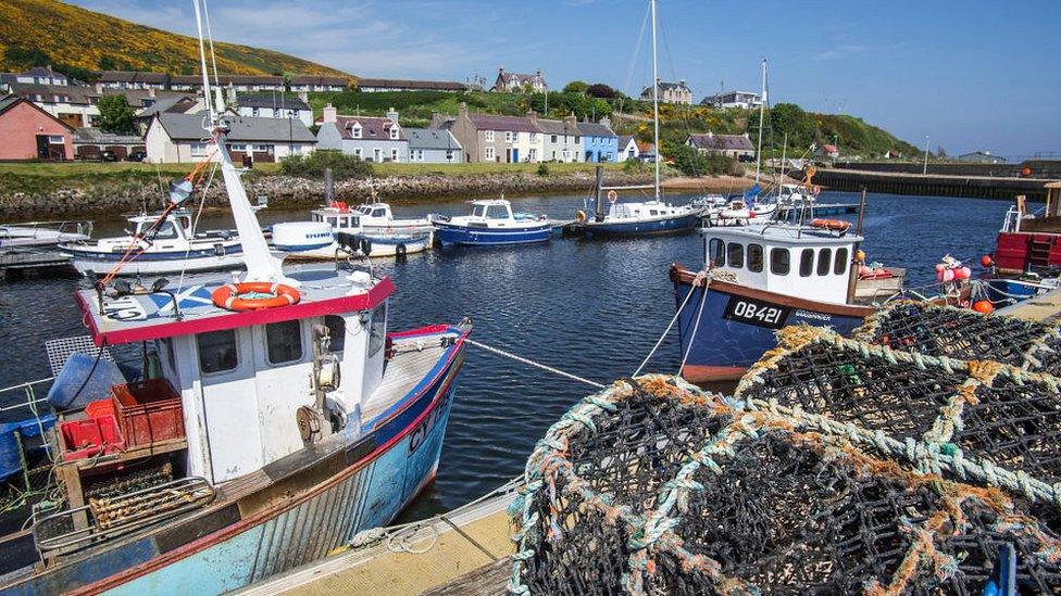 fishing boats in a harbour