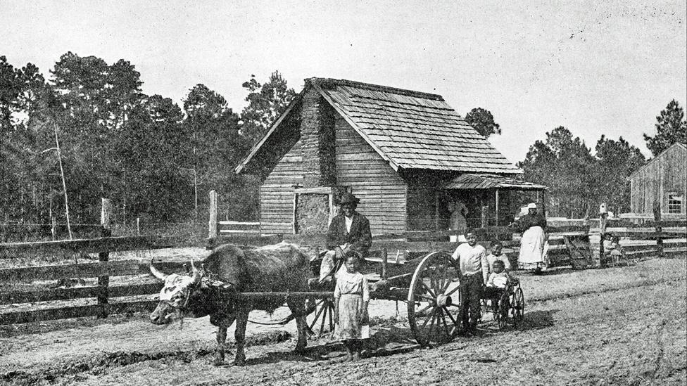 Farm in southern US