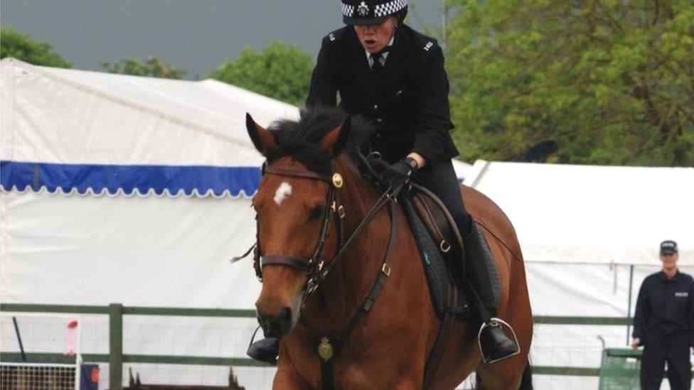 Quantock in a police display