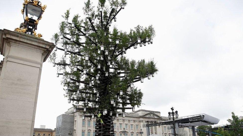 Queen's tree sculpture, made up of other trees, in Buckingham palace