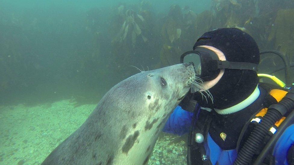 Ben Burville and seal