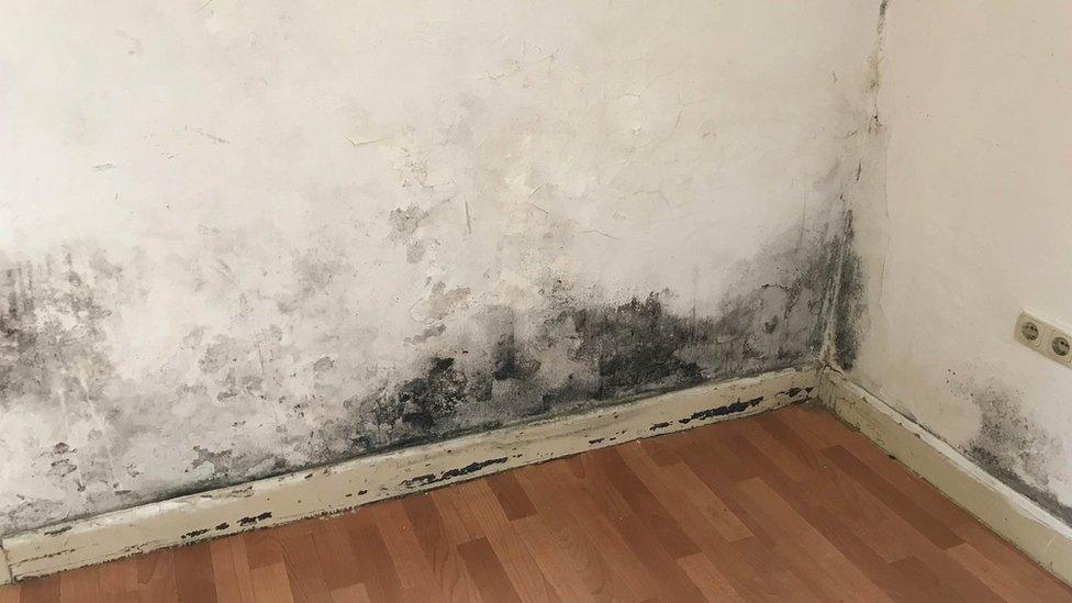 Picture showing mould in a house for meat factory workers