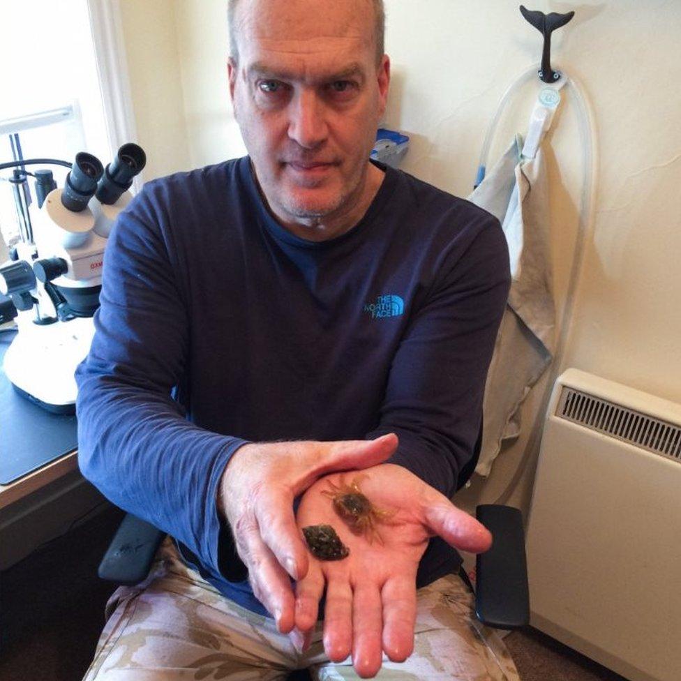 Steve Trewhella holding crab and shell