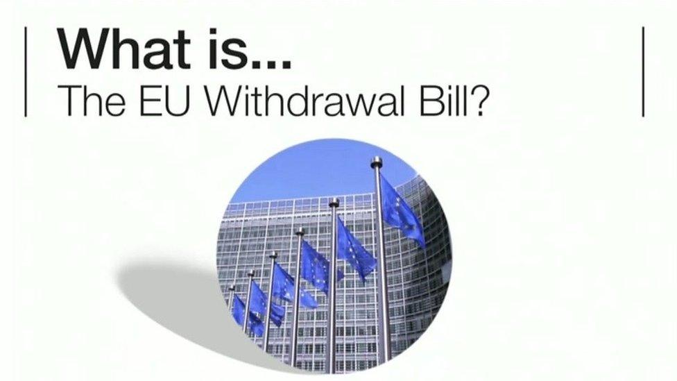 EU Withdrawal bill animation