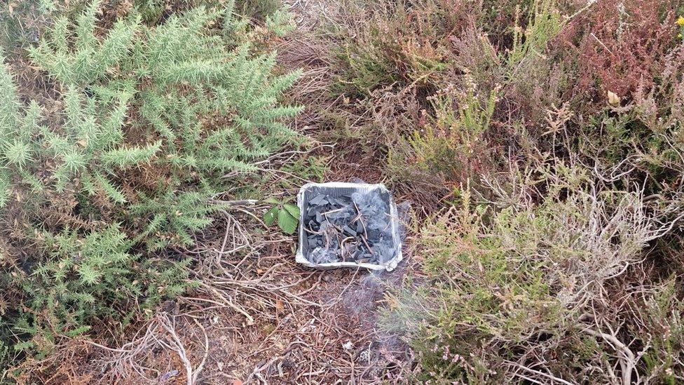 BBQ on heathland