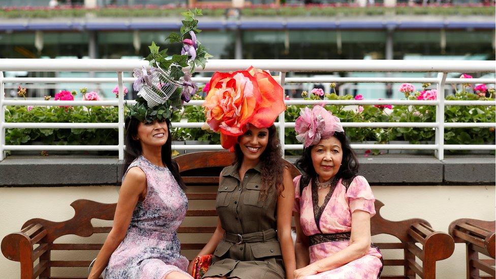 Ascot hats