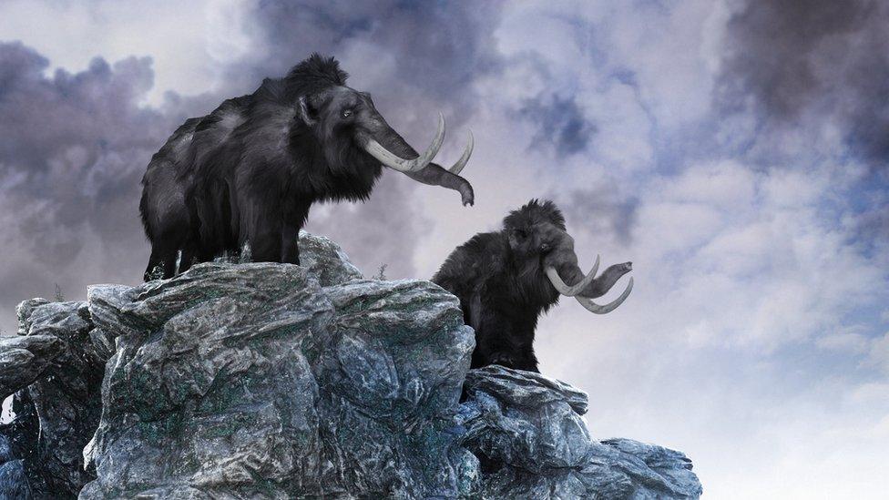 Illustration of two mammoths