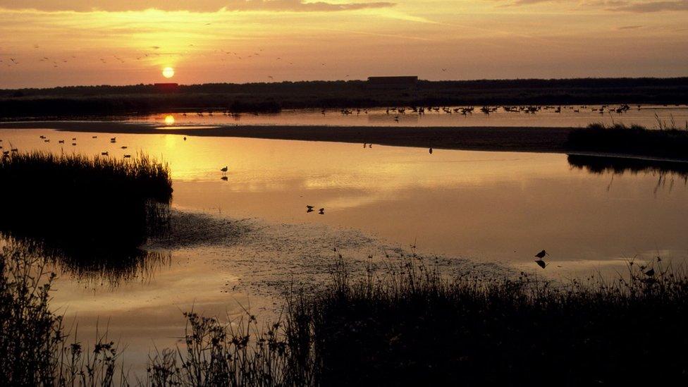 RSPB Minsmere at sunset