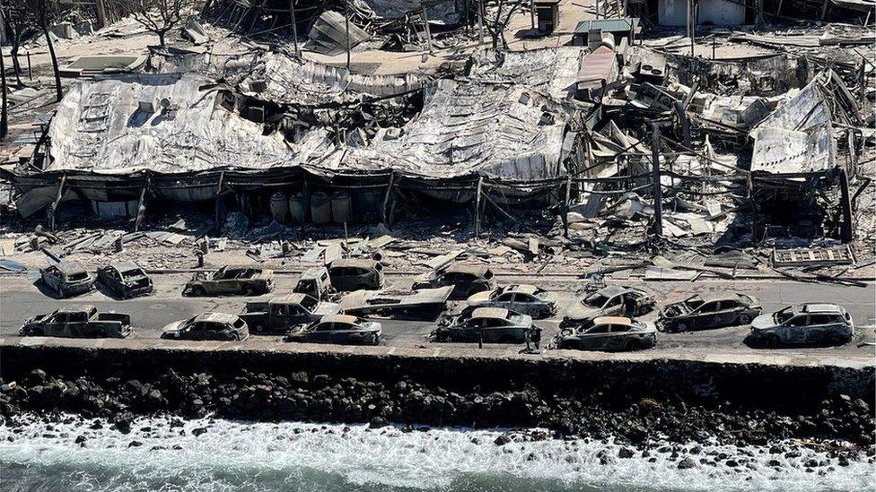 Shells of burned houses and buildings after wildfires