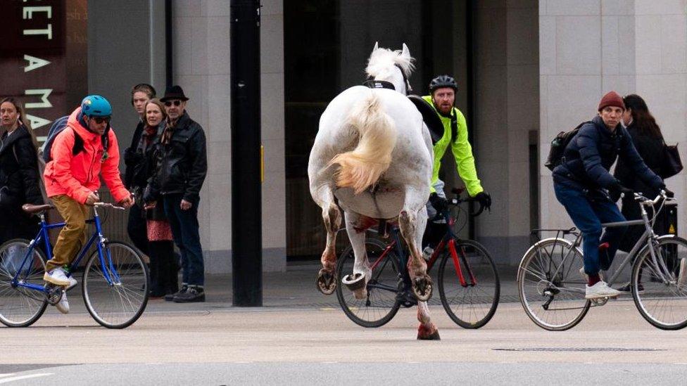 Horse running towards shocked cyclists