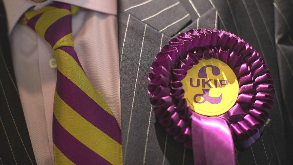 UKIP rosette