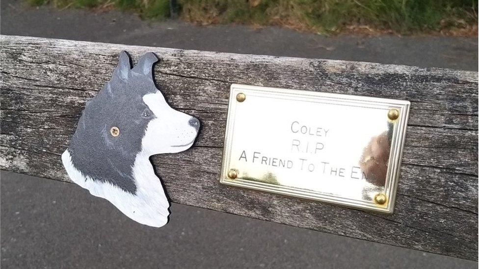 A temporary plaque has been left in Coley's honour