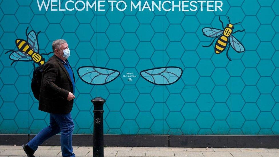 Picture of man walking by bees