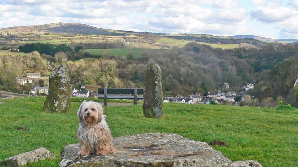 View from the Gorsedd stones, Fishguard, taken by Patricia Watkins