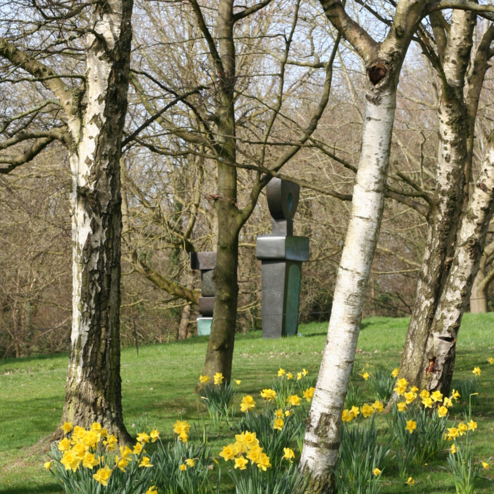 Sculpture at YSP