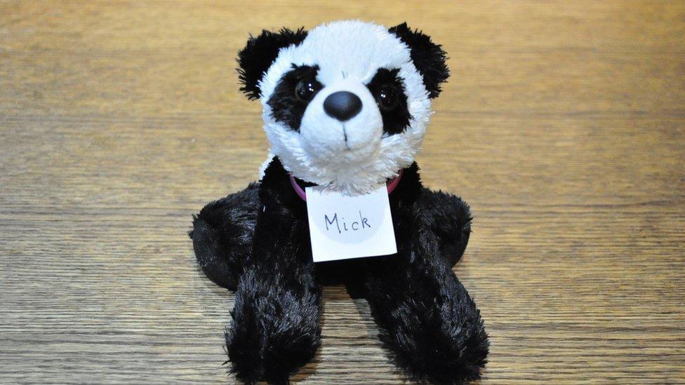 A photo of a toy panda with the label Mick