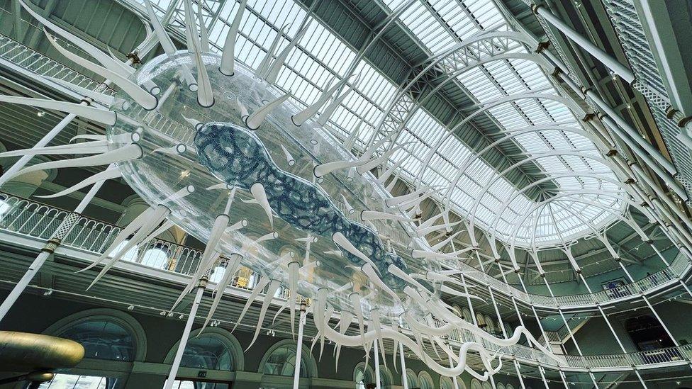 Sculpture of E. coli bacteria