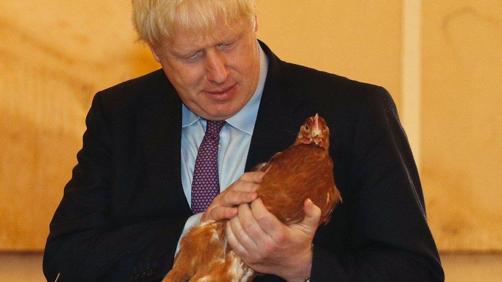 Boris Johnson holding a chicken