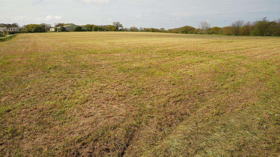 Solar farm site