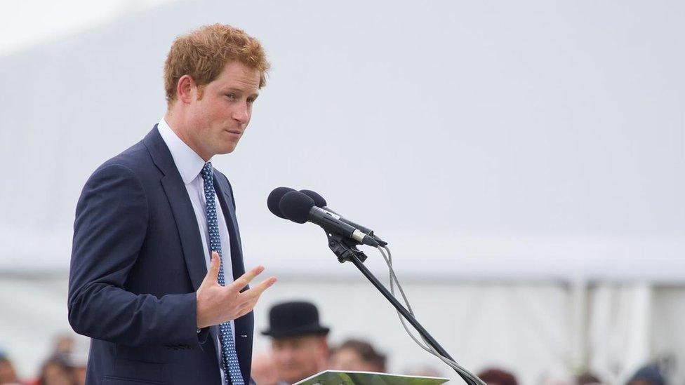 Prince Harry at the Suffolk Show