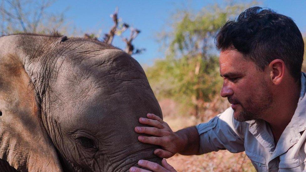 Levison Wood, Walking With Elephants