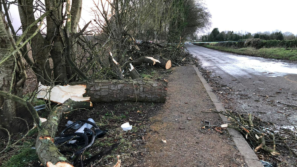 Fallen trees and debris on road