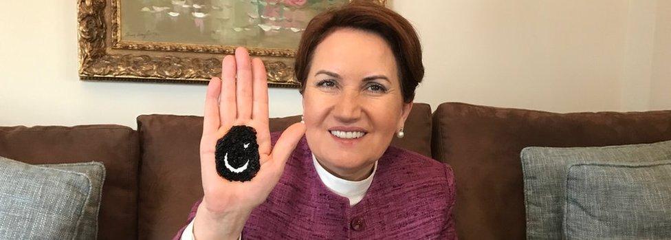 Meral Aksener with a Turkish flag painted in henna on her palm