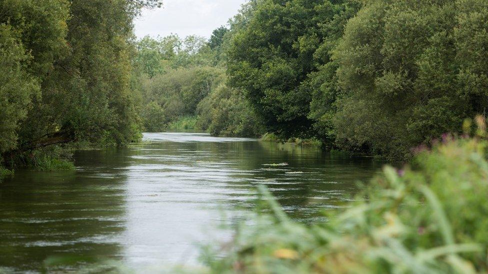 River Itchen