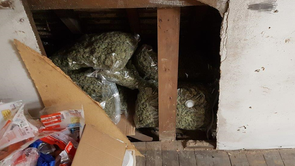 Cannabis