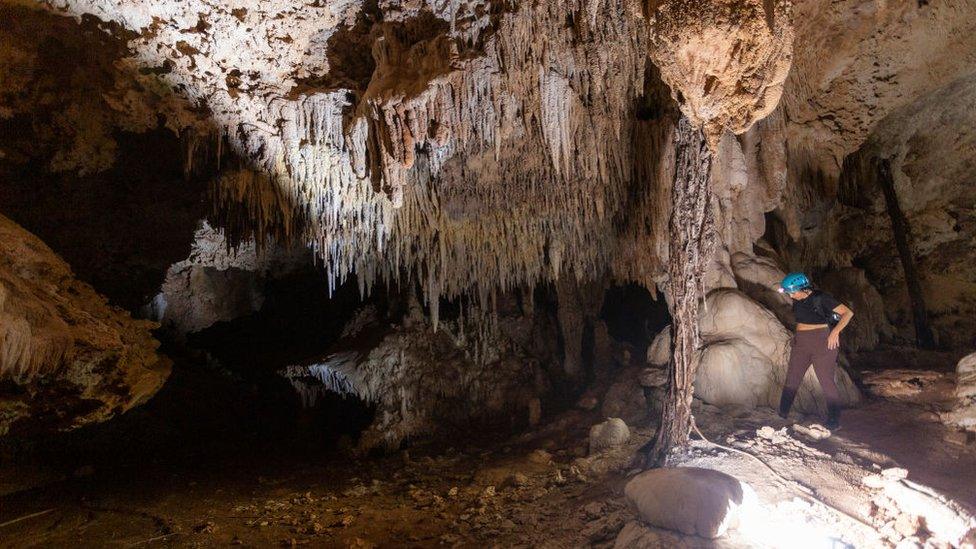 The cave system called Garra de Jaguar is located in the municipality of Solidaridad, 20km from Playa del Carmen, in the state of Quintana Roo, Mexico. It is located under the new route of section 5 of the Tren Maya railway; specialists and speleologists have warned of the damage that could be caused to Garra de Jaguar if the construction of the train continues.