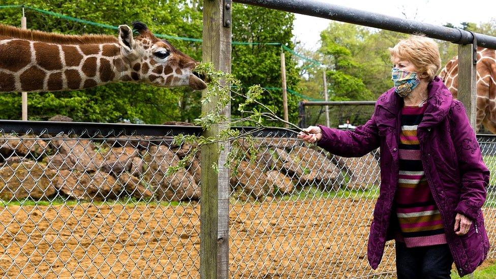 Margaret Keenan feeding her giraffe namesake