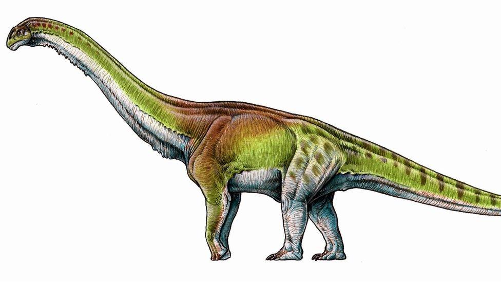 An artists impression of the Patagotitan mayorum