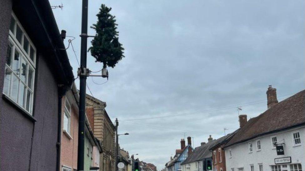 Christmas tree on lamp-post