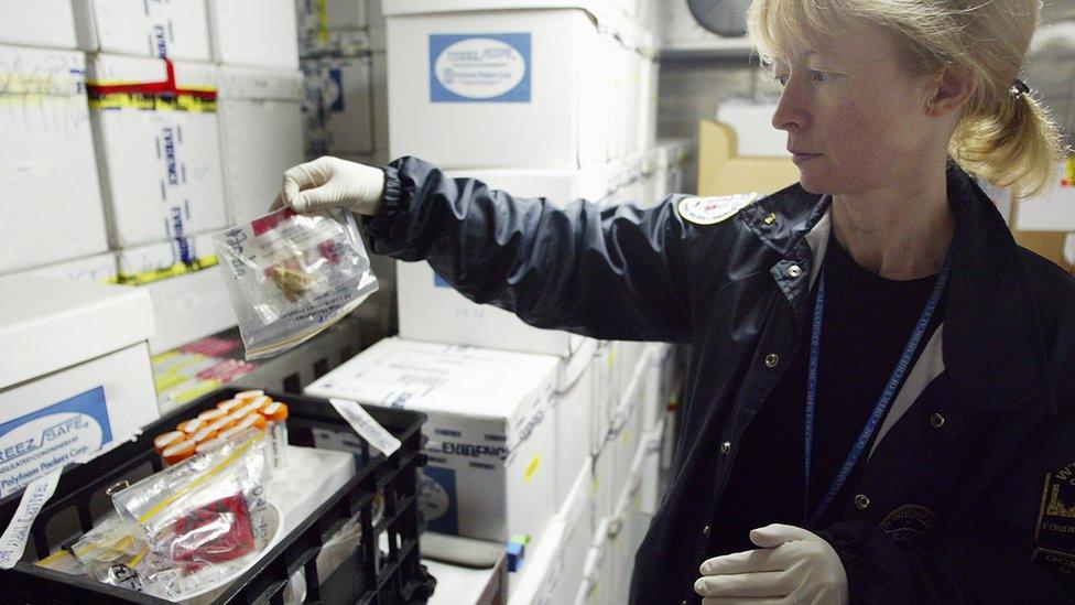 Mechthild 'Maggie' Prinz, Assistant Director of Forensic Biology for the Chief Medical Examiner of New York City, works in a giant cooler that stores unidentified human remains at the city morgue August 26, 2003