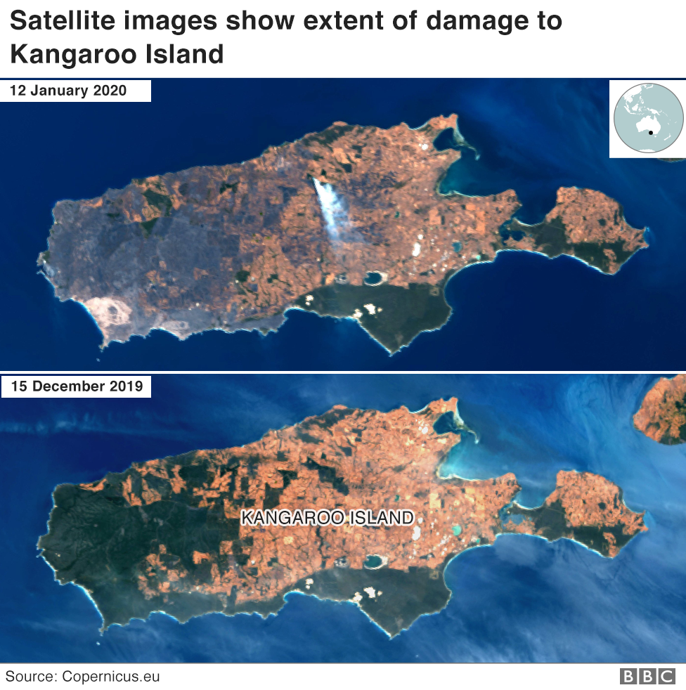 Satellite image showing fire destruction on Kangaroo Island