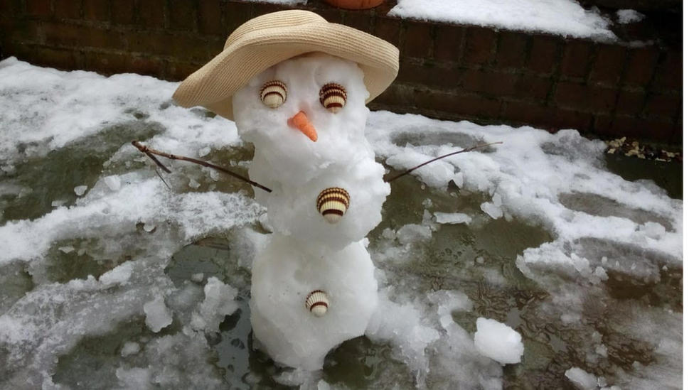 A snowman with hat and sea shells for eyes, and a carrot for a nose.