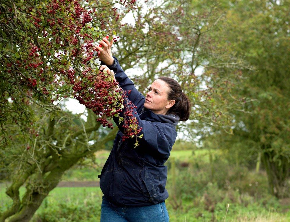 Foraging, Holme Flowers, North Yorkshire