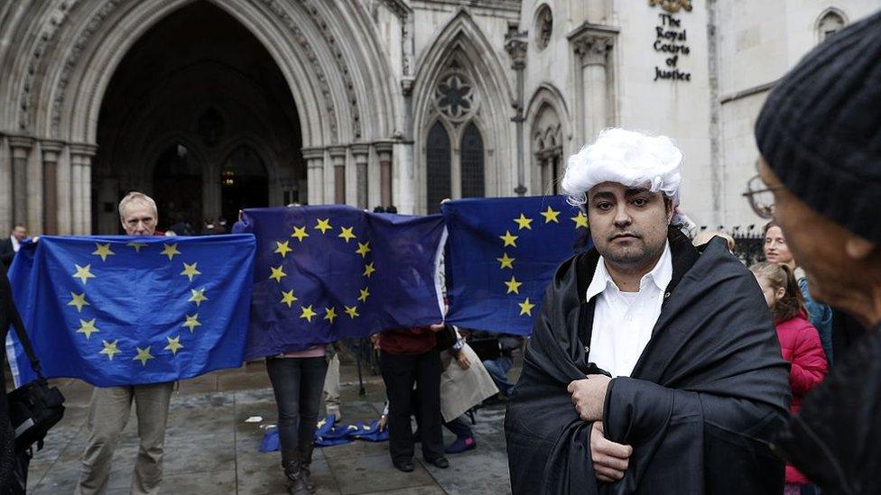 EU protesters outside the Royal Courts of Justice