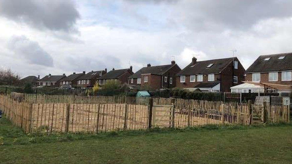 Tiny forest planted at Saltersgate Infant School