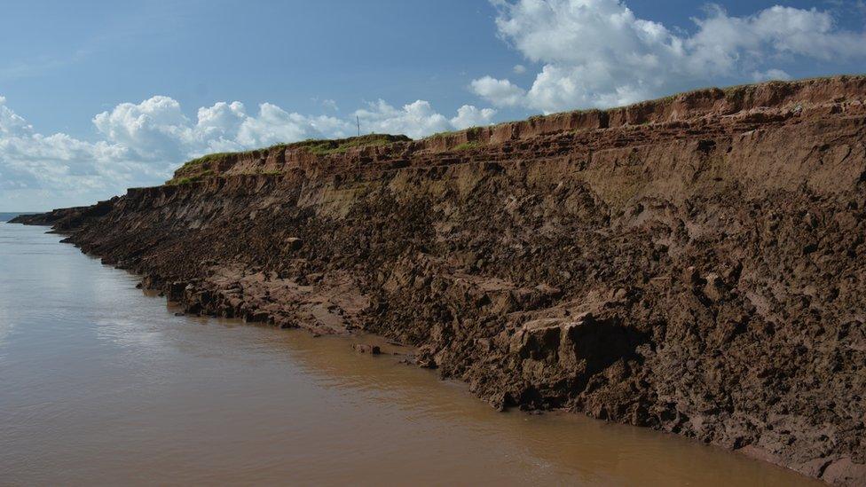 Mekong river bank