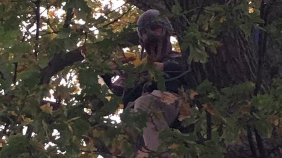 A protester is sitting in the 150-year-old tree