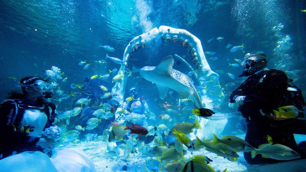 Underwater wedding