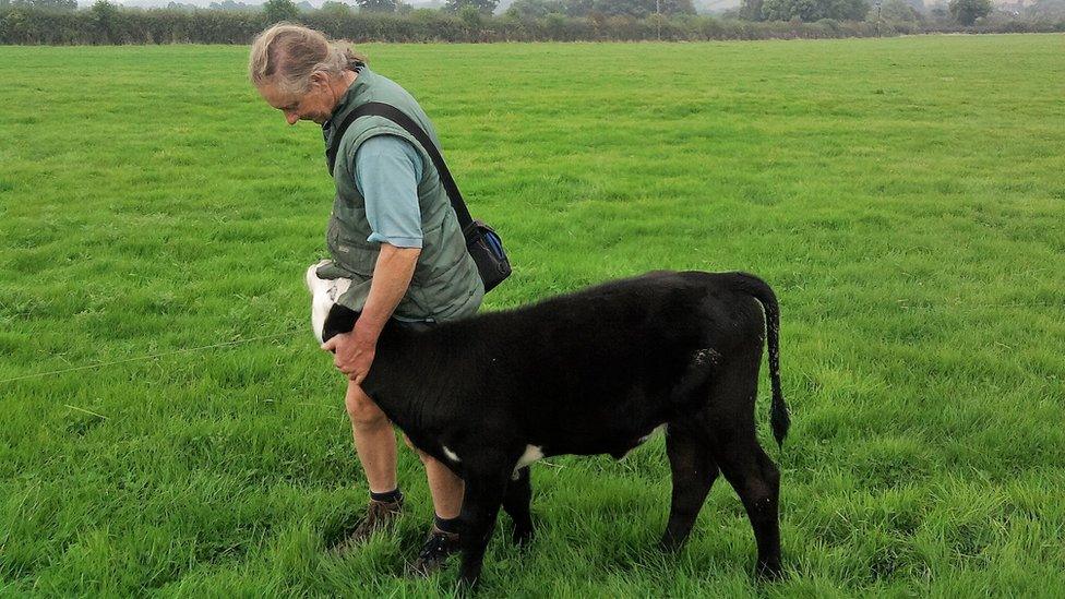 Jay Wilde with one of his calves