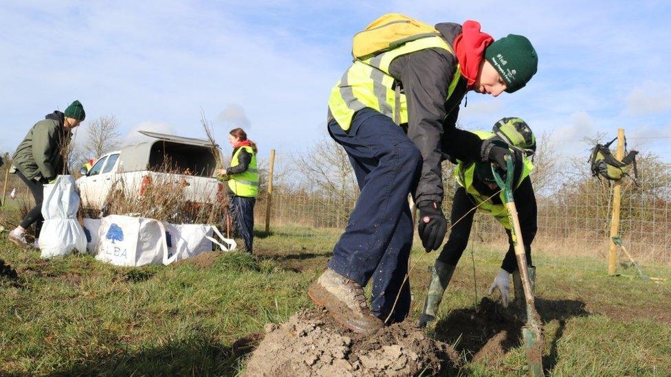 Volunteers planting