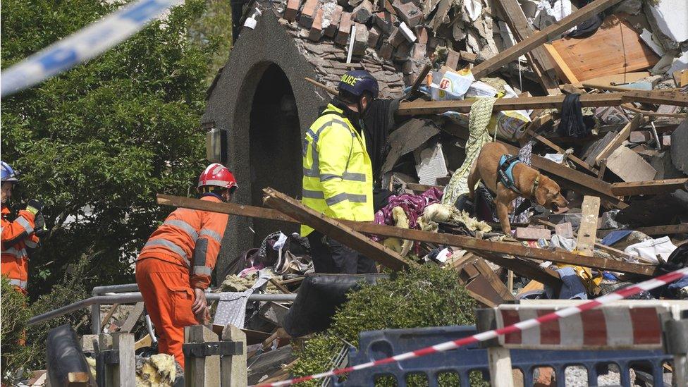 Dogs helping police search the rubble