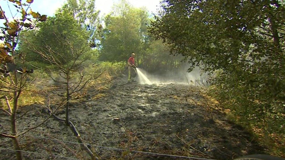 A firefighter using a hose to dampen down flames on woodland