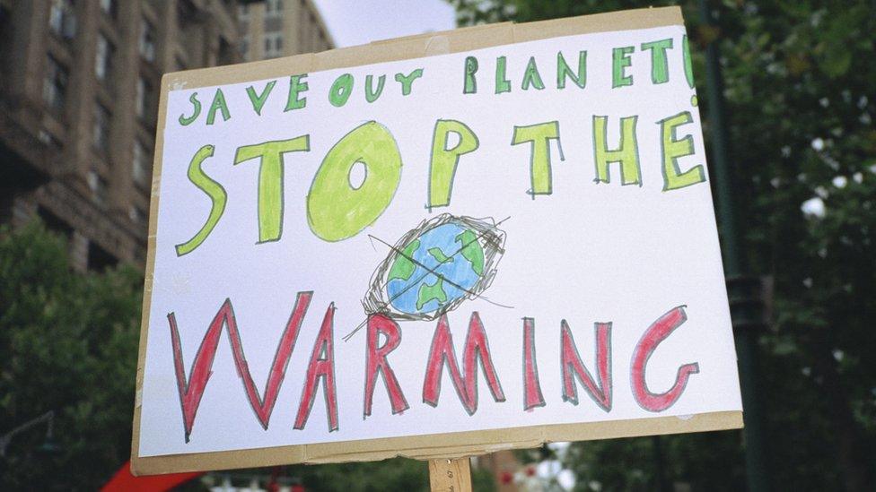 climate change placard.