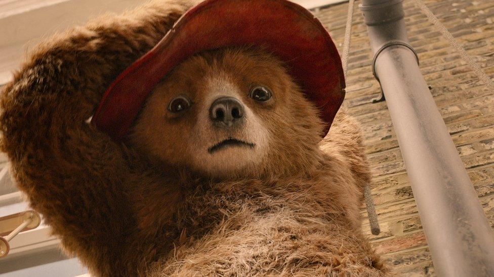 Paddington Bear