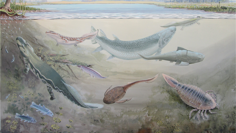 Artist interpretation of prehistoric fish fossils found in the area