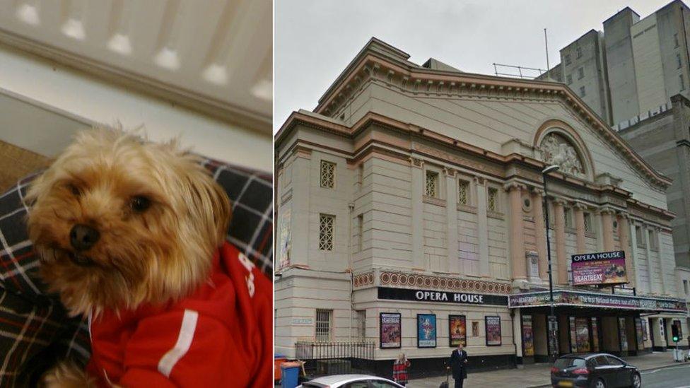 Ted and Manchester Opera House